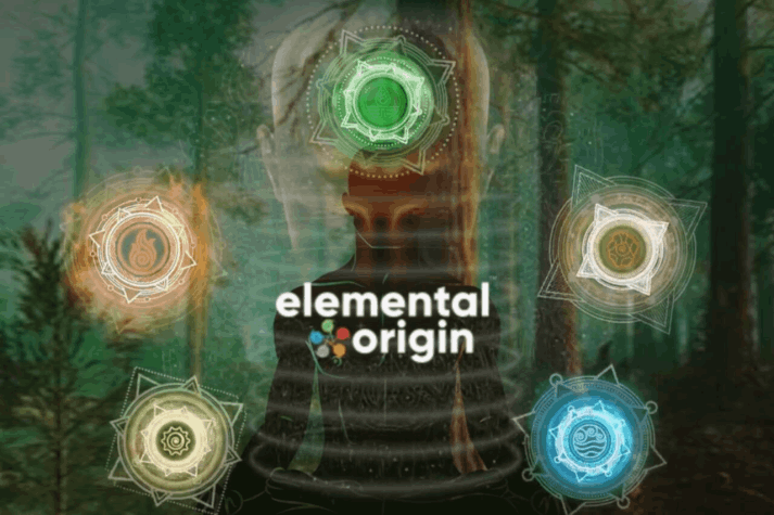 elemental-origin-reading